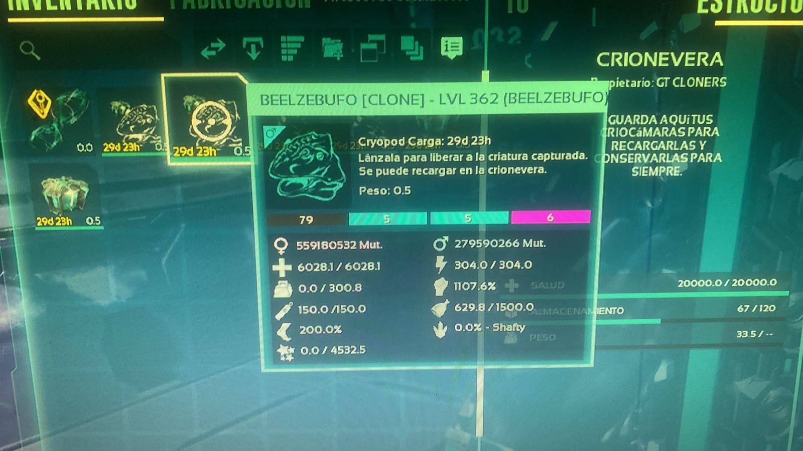 Paquete personalizado James Rosario