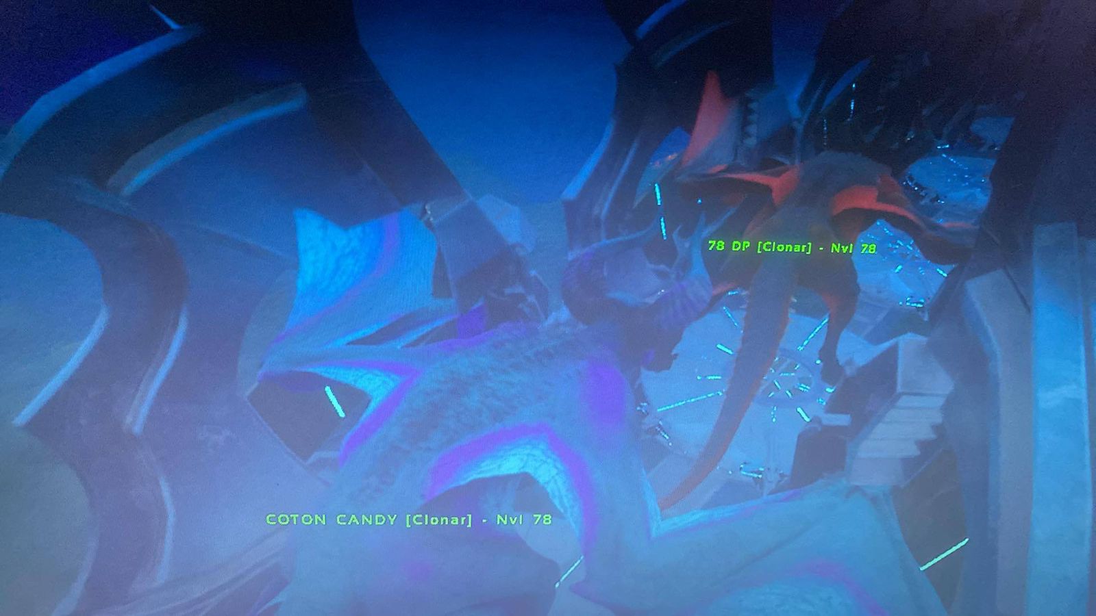 Paquete personalizado James Rosario